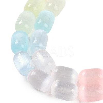 Macaron Color Natural Selenite Beads Strands G-F750-M03-02-1