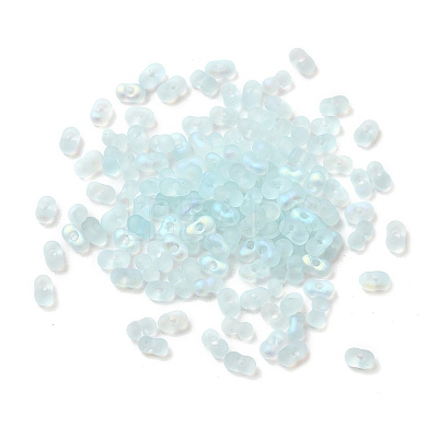 Glass Frosted Seed Beads LS-SEED-NH0002-01D-1