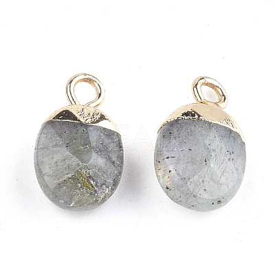 Electroplate Natural Labradorite Charms X-G-S344-09D-1