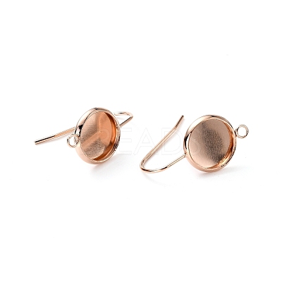 304 Stainless Steel Earring Hooks STAS-F271-01B-RG-1