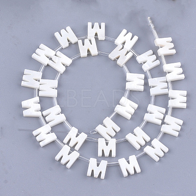 Natural Freshwater Shell Beads SHEL-T012-59M-1