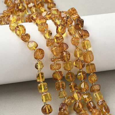 Natural Amber Beads Strands G-L095-E01-07-1