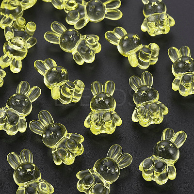 Transparent Acrylic Beads LS-MACR-S373-81-B06-1