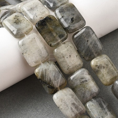 Natural Labradorite Beads Strands G-S386-A03-1