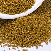 MIYUKI Delica Beads X-SEED-J020-DB2106-1