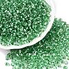 6/0 Baking Paint Transparent Fringe Glass Seed Beads X1-SEED-N006-06K-1