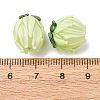 Handmade Lampwork Beads LAMP-F041-02G-4
