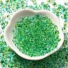 Transparent Baking Paint Glass Seed Beads SEED-P006-02B-16-2