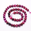Natural Tiger Eye Beads Strands G-G544-8mm-M-3