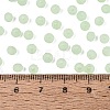 FGB Frosted Transparent Glass Seed Beads SEED-N013-04A-08-4