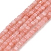 Natural Freshwater Shell Dyed Beads Strands SHEL-R100-11A-01-1