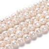 Natural Cultured Freshwater Pearl Beads Strands PEAR-L033-92-1