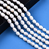 Natural Cultured Freshwater Pearl Beads Strands PEAR-S017-006-1