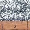 MIYUKI Delica Beads X-SEED-J020-DB2166-4