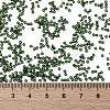 MIYUKI Round Rocailles Beads SEED-X0056-RR0306-4