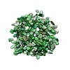 Natural Shell Beads BSHE-WH0001-06-1