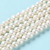 Natural Cultured Freshwater Pearl Beads Strands PEAR-E018-48-2