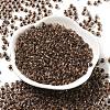 Transparent Glass Round Seed Beads X1-SEED-B001-05A-20-2