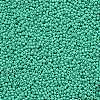 11/0 Grade A Round Glass Seed Beads SEED-N001-A-1030-2