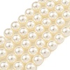 Glass Pearl Beads Strands HY-G002-01D-02-1