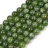 Dyed Natural Malaysia Jade Beads Strands G-G021-02C-13-2