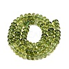 Crackle Transparent Glass Beads Strands GLAA-N074-02A-13-2
