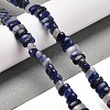 Natural Sodalite Beads Strands G-Q167-B06-01-2