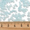 Ceylon Glass Seed Beads SEED-K009-02B-33-4