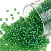 TOHO Round Seed Beads SEED-JPTR11-0947F-1