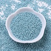 MIYUKI Delica Beads SEED-MY11-DB0217-2