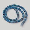 Shell Beads Strands X-SSHEL-E571-49B-2