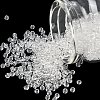 8/0 Glass Seed Beads X-SEED-A004-3mm-1-1