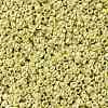TOHO 11/0 Round Beads SEED-XTR11-0559-2