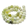 Natural New Jade Beads Strands G-K340-A01-02-3
