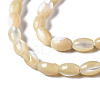 Natural Trochid Shell/Trochus Shell Beads Strands SSHEL-S266-021B-01-3