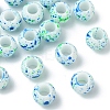 20Pcs Acrylic European Beads OPDL-YW0001-04D-1