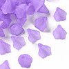 Transparent Acrylic Bead Caps PL551-C08-1