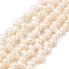 Natural Cultured Freshwater Pearl Beads Strands PEAR-I007-04C-02A-2