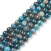 Natural Apatite Beads G-E481-05-10mm-01-1