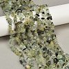 Prehnite Chip Bead Strands G-M205-11-2