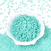 FGB Frosted Transparent Glass Seed Beads SEED-N013-02A-10-2