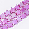 Freshwater Shell Beads Strands SHEL-S276-51-2