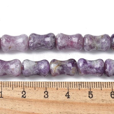 Natural Lepidolite/Purple Mica Stone Beads Strands G-M445-B02-01-1