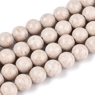 Dyed Natural Fossil Beads Strands G-T139-6mm-66A-1