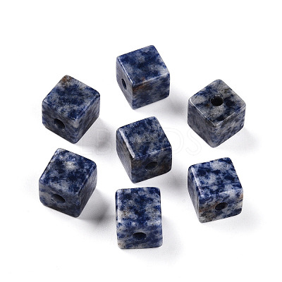 Natural Blue Spot Jasper European Beads G-N345-07A-05-1