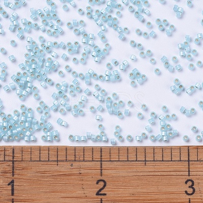 MIYUKI Delica Beads SEED-X0054-DB0628-1