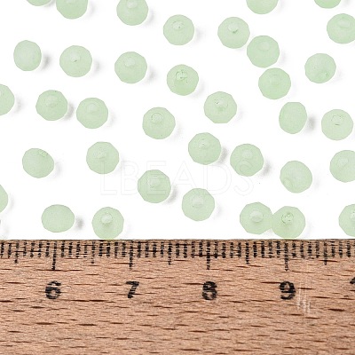 FGB Frosted Transparent Glass Seed Beads SEED-N013-04A-08-1