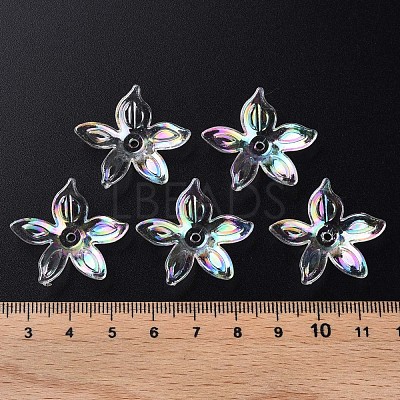 Transparent Acrylic Beads MACR-S373-102-C07-1