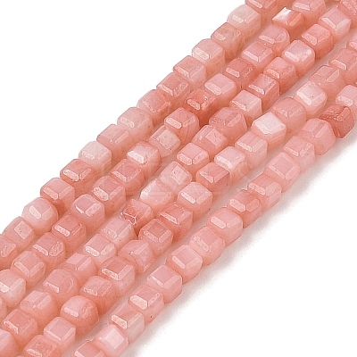 Natural Freshwater Shell Dyed Beads Strands SHEL-R100-11A-01-1