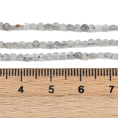 Natural Labradorite Beads Strands LS-G-RM2025-A30-2mm-1